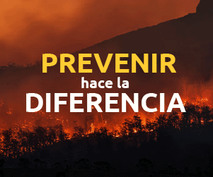 Publicidad